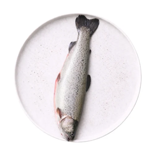 pstrąg tęczowy patroszony